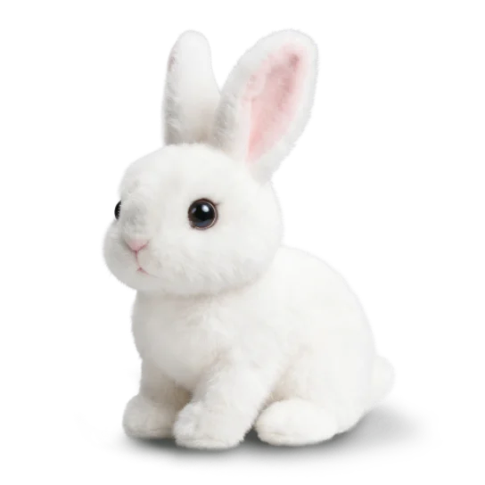 1 coniglio robot Rabsy